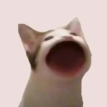 A close-up image of a cat's face from below, with its mouth wide open as if yawning or meowing loudly. The cat appears to be white with some darker markings visible on its ears. The image has a slightly blurred, meme-like quality to it.